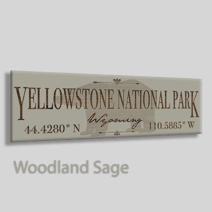 Yellowstone, Wyoming Bear