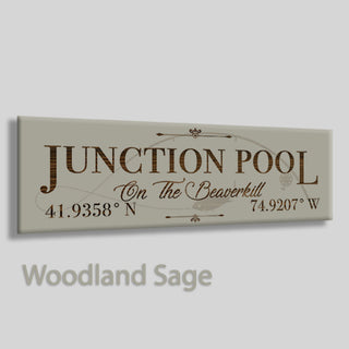 Junction Pool, On The Beaverkill