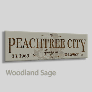 Peachtree City, Georgia