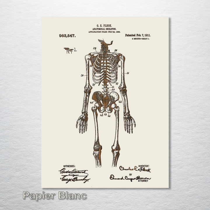 1911 Anatomical Skeleton Patent - Fire & Pine