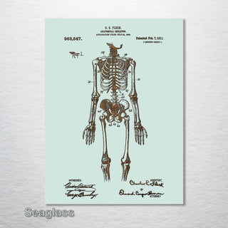 1911 Anatomical Skeleton Patent - Fire & Pine