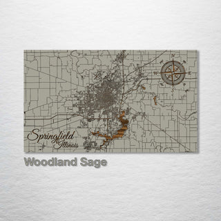 Springfield, Illinois Street Map - Fire & Pine