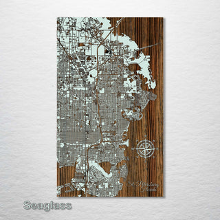 St. Petersburg, Florida Street Map - Fire & Pine