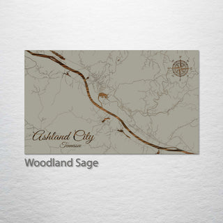 Ashland City, Tennessee Street Map