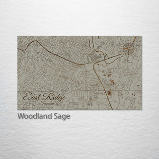 East Ridge, Tennessee Street Map