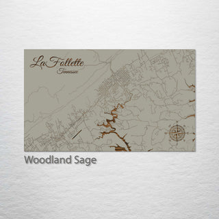 La Follette, Tennessee Street Map