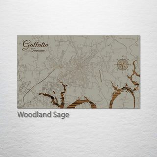 Gallatin, Tennessee Street Map