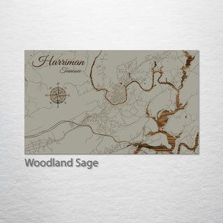 Harriman, Tennessee Street Map