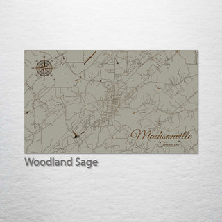Madisonville, Tennessee Street Map