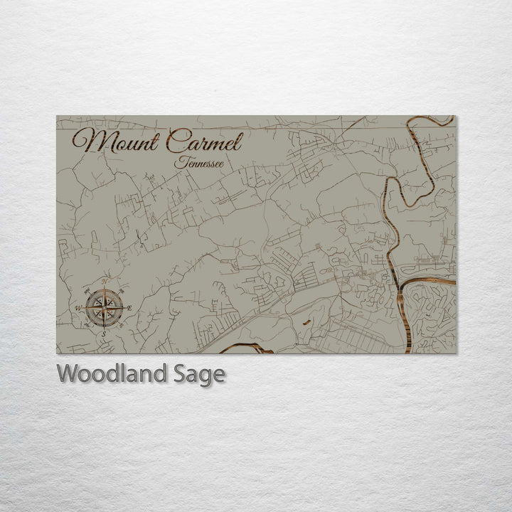 Mount Carmel, Tennessee Street Map