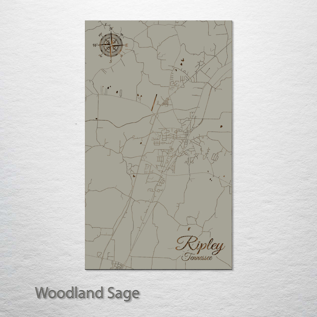 Ripley, Tennessee Street Map