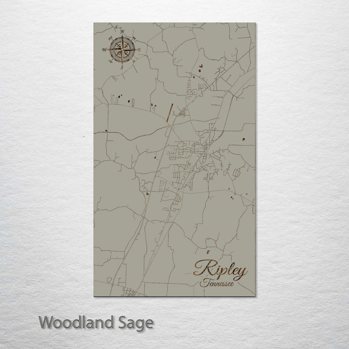 Ripley, Tennessee Street Map