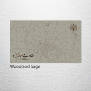 Shelbyville, Tennessee Street Map