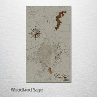 Abilene, Texas Street Map
