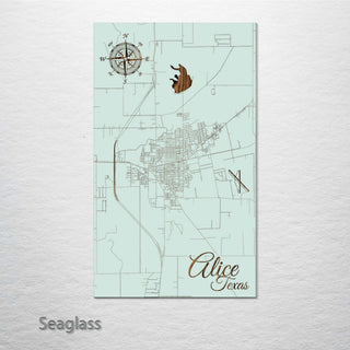 Alice, Texas Street Map