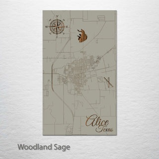 Alice, Texas Street Map
