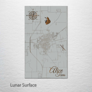 Alice, Texas Street Map