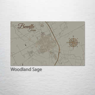 Beeville, Texas Street Map