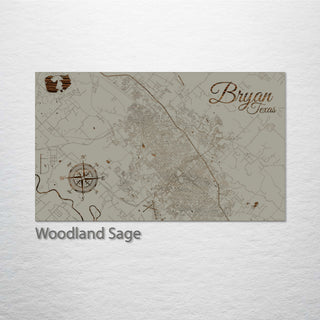 Bryan, Texas Street Map