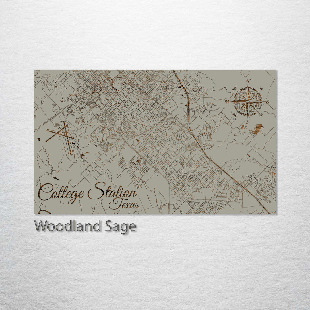 College Station, Texas Street Map