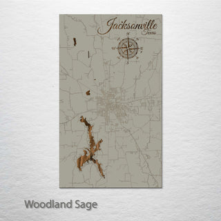 Jacksonville, Texas Street Map