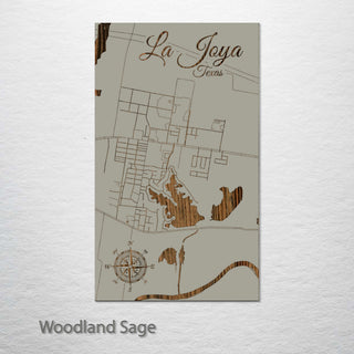 La Joya, Texas Street Map