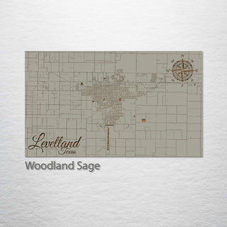 Levelland, Texas Street Map