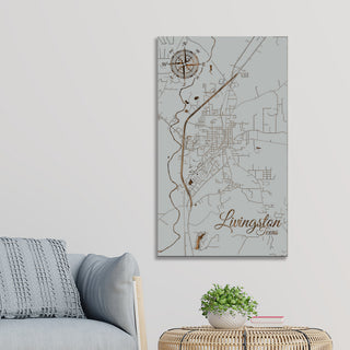 Livingston, Texas Street Map