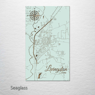 Livingston, Texas Street Map