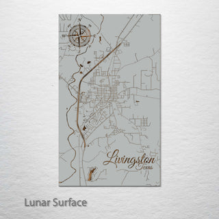 Livingston, Texas Street Map