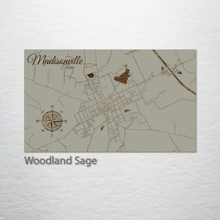 Madisonville, Texas Street Map