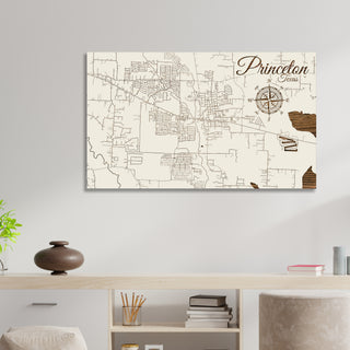 Princeton, Texas Street Map