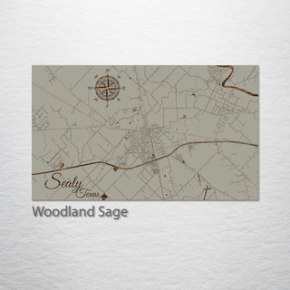 Sealy, Texas Street Map
