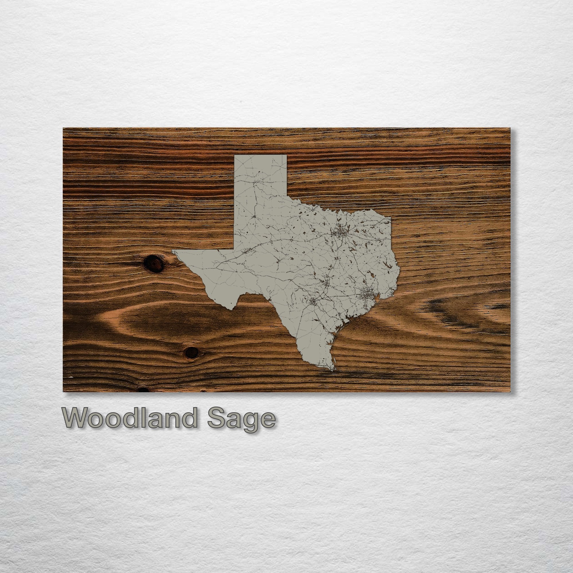 Texas Isolated Map