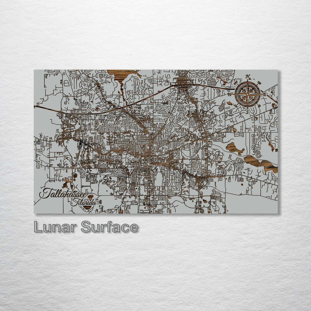 Tallahassee, Florida Street Map - Fire & Pine