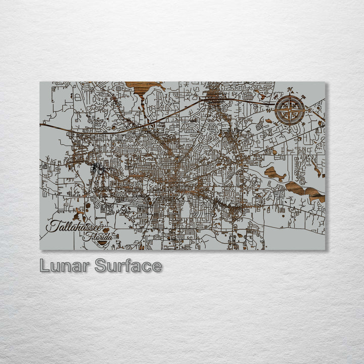 Tallahassee, Florida Street Map - Fire & Pine