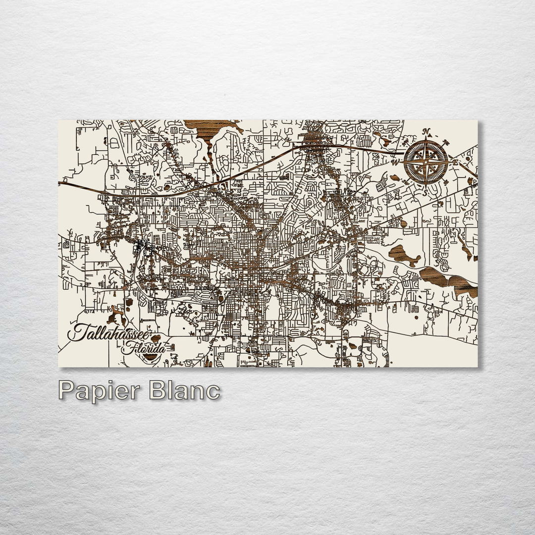 Tallahassee, Florida Street Map - Fire & Pine