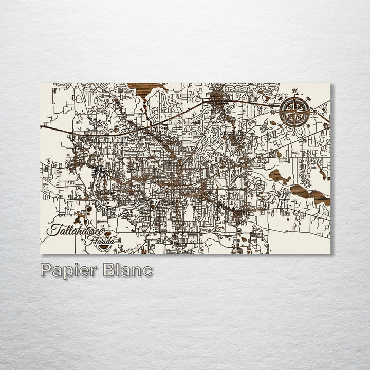 Tallahassee, Florida Street Map - Fire & Pine