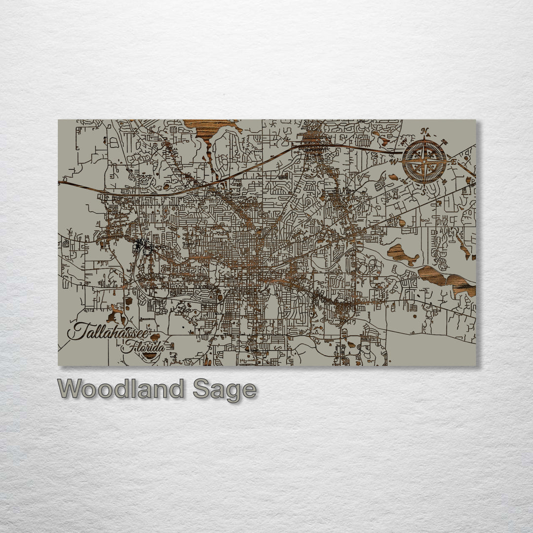 Tallahassee, Florida Street Map - Fire & Pine