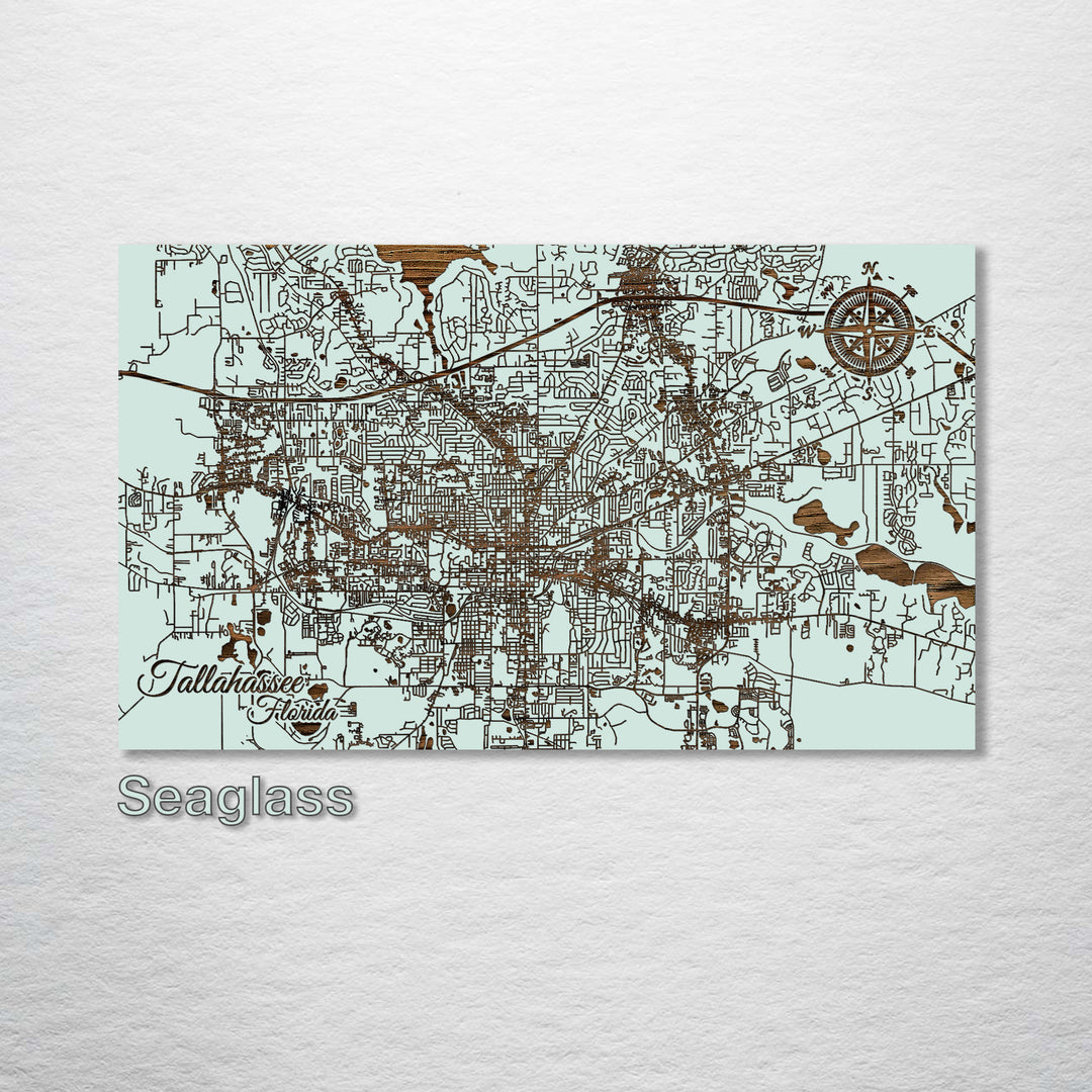 Tallahassee, Florida Street Map - Fire & Pine