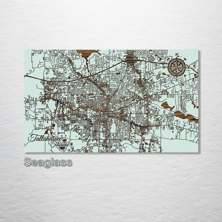 Tallahassee, Florida Street Map - Fire & Pine