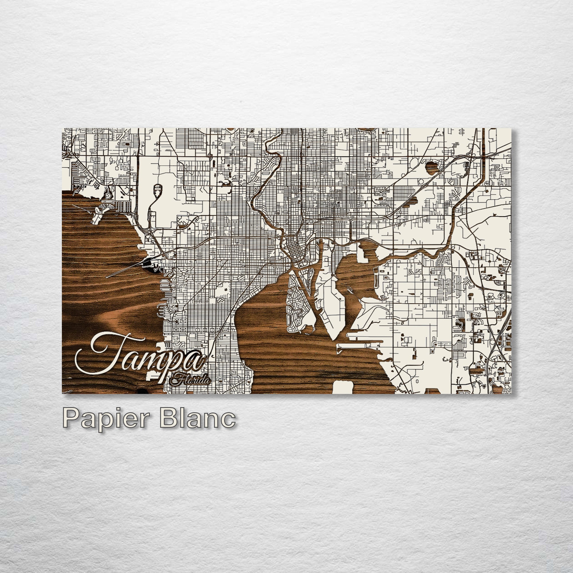 Tampa, Florida Street Map - Fire & Pine