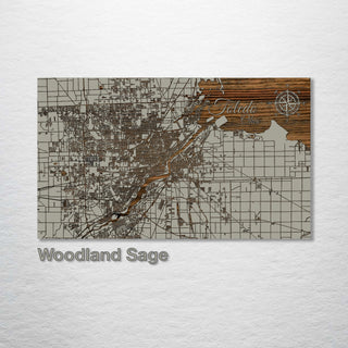 Toledo, Ohio Street Map - Fire & Pine