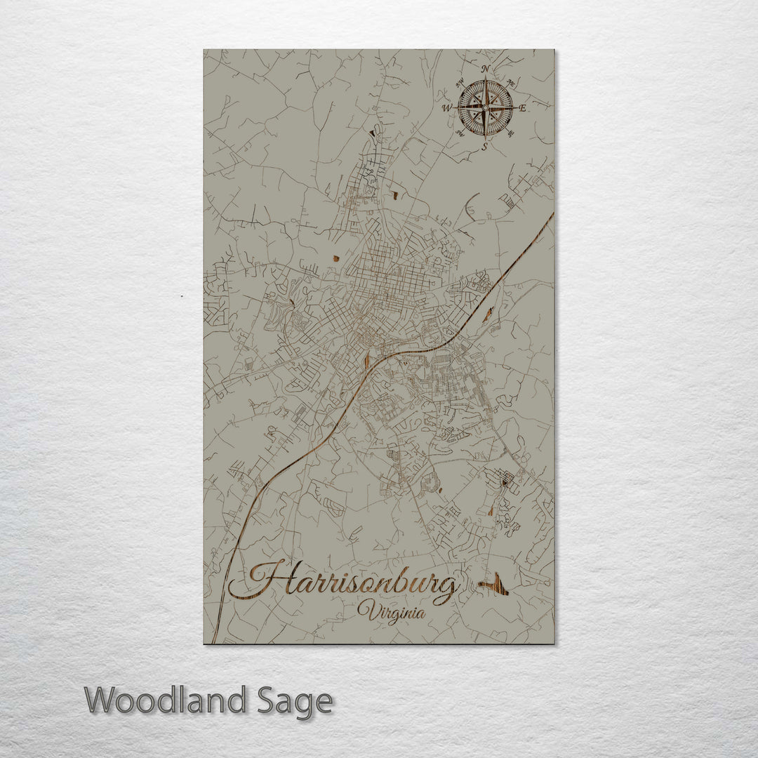 Harrisonburg, Virginia Street Map