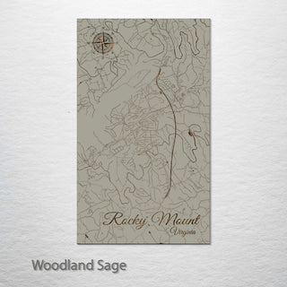 Rocky Mount, Virginia Street Map