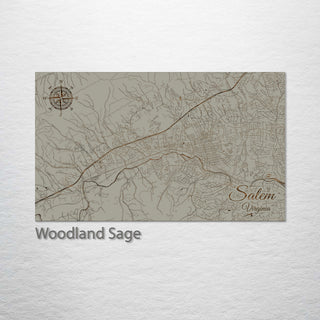 Salem, Virginia Street Map