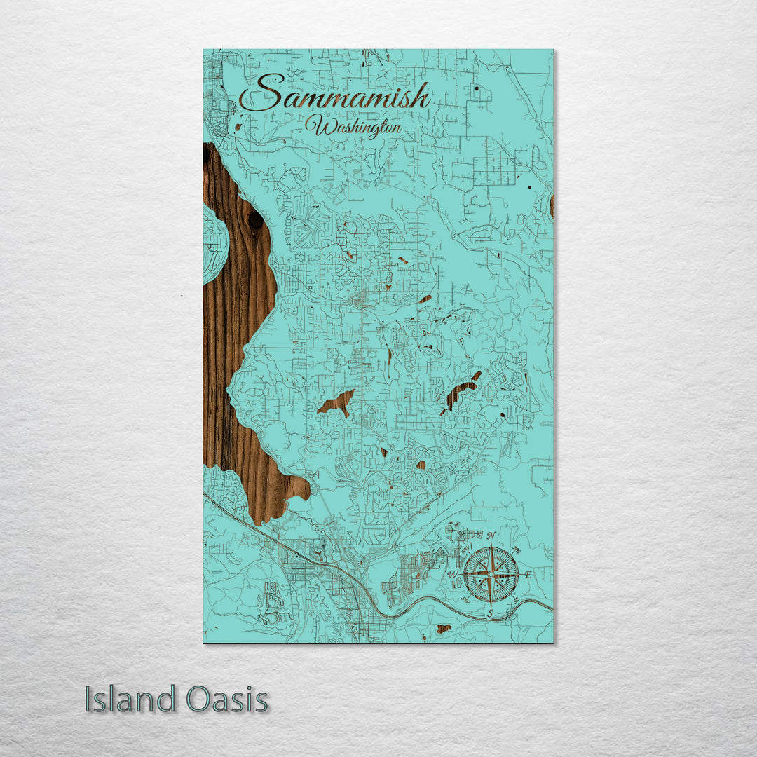 Sammamish, Washington Street Map