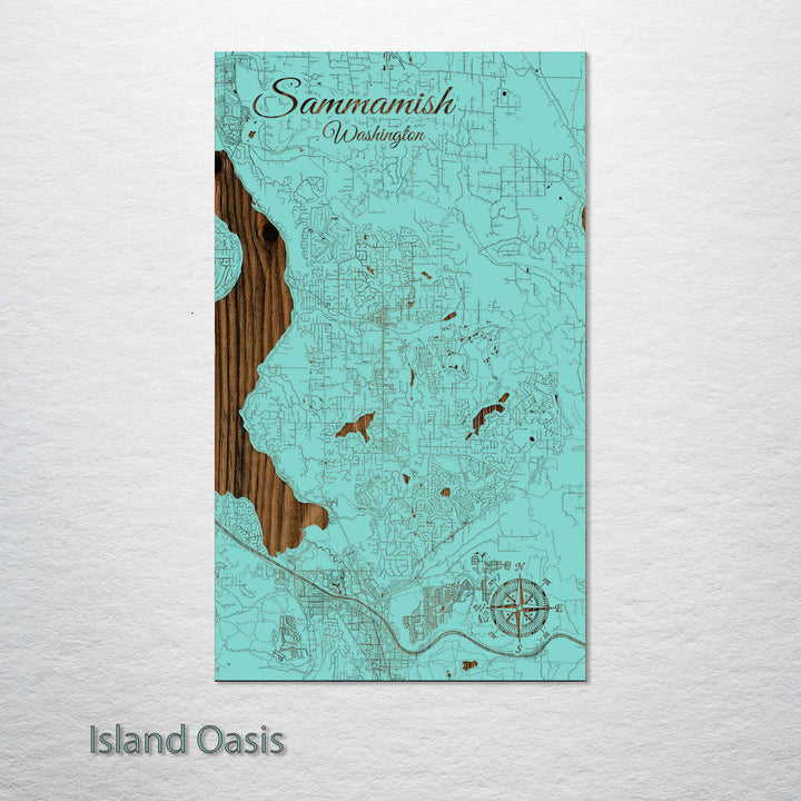 Sammamish, Washington Street Map