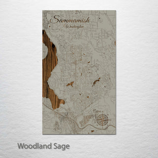 Sammamish, Washington Street Map