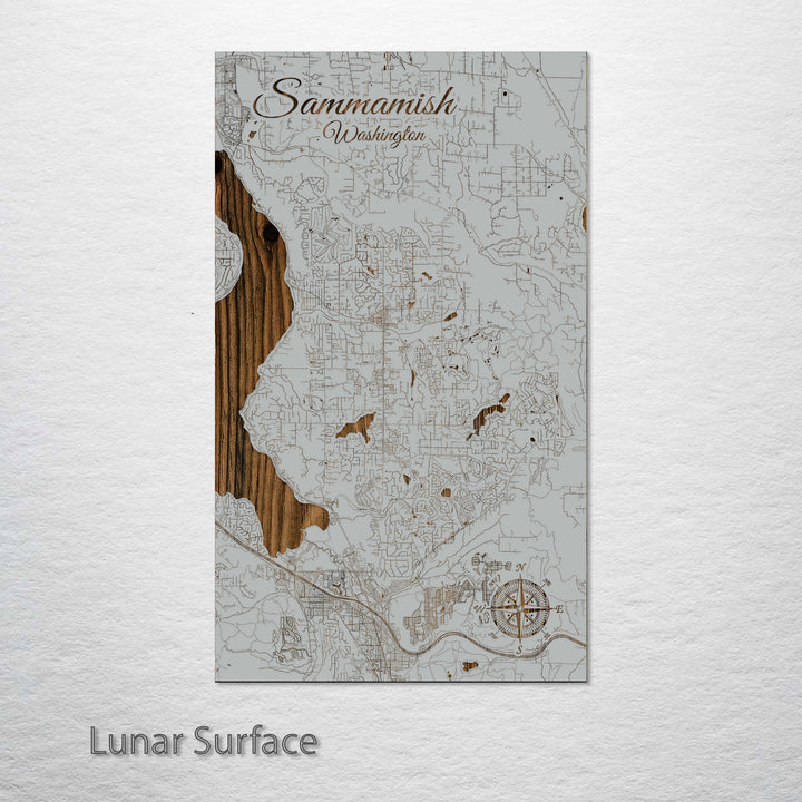 Sammamish, Washington Street Map